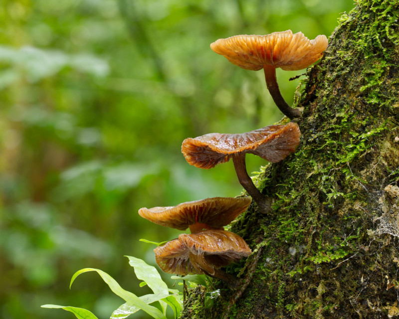 2026 01 02 14 37 36 BR8S4