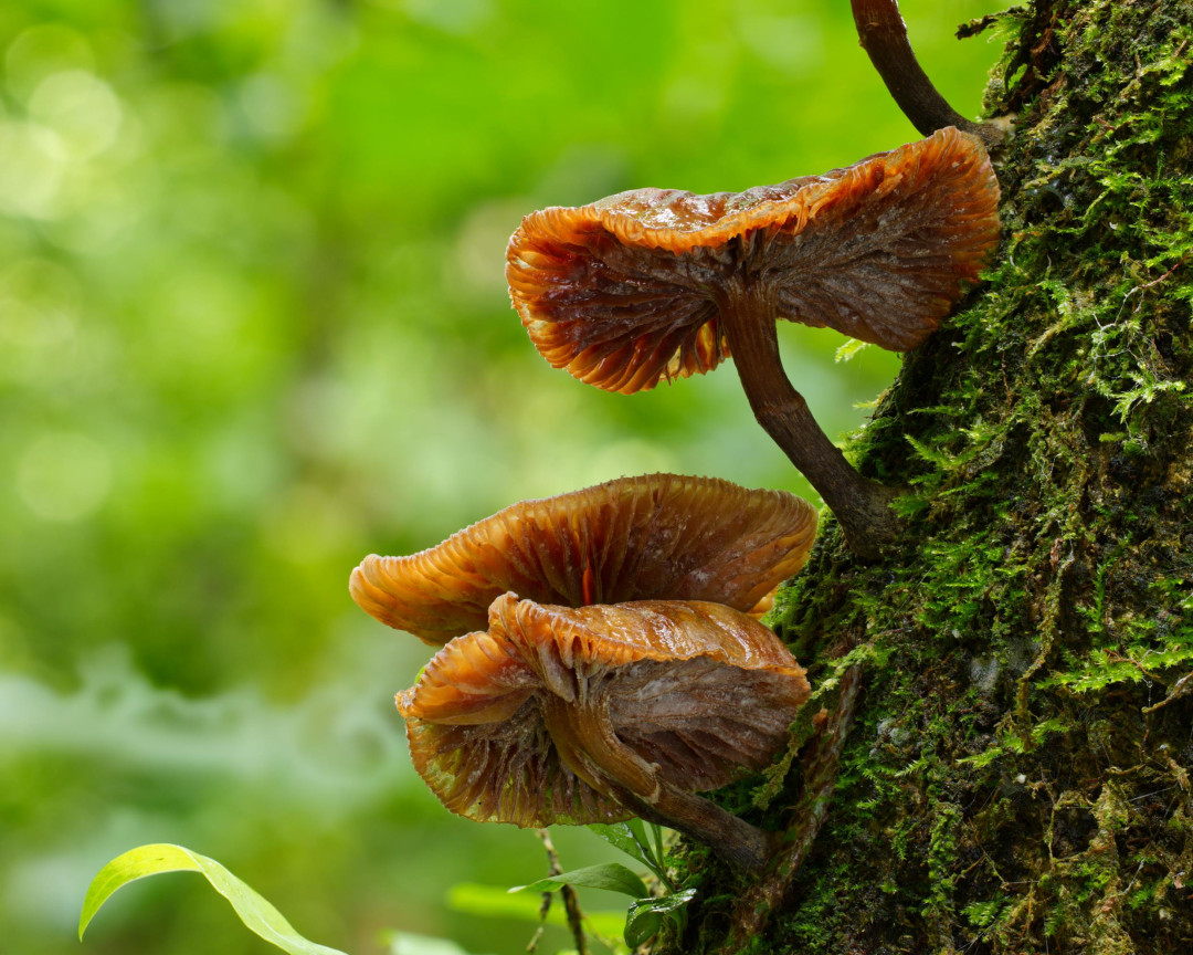 2026 01 02 14 39 44 BR8S4