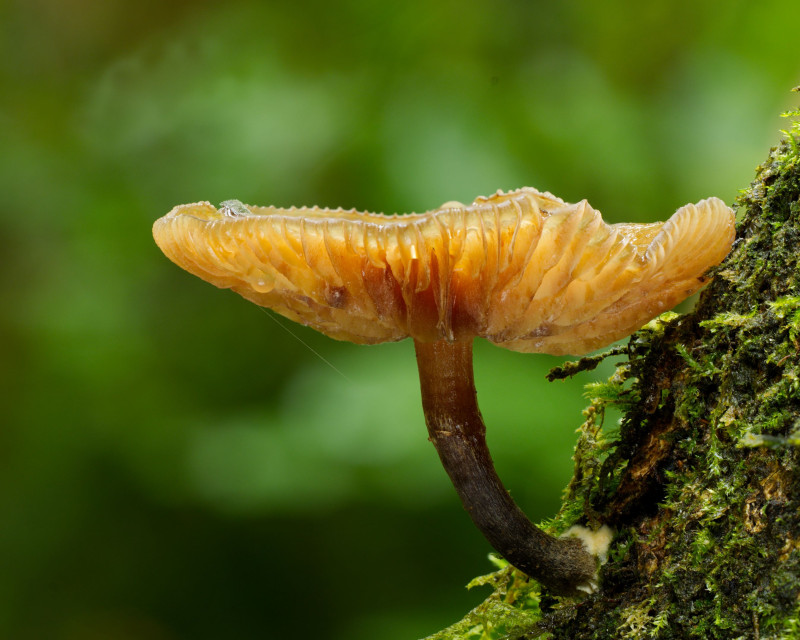 2026 01 02 14 41 39 BR8S4