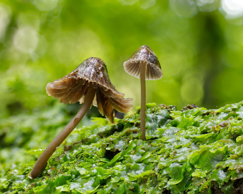 2026 01 02 14 49 04 BR8S4