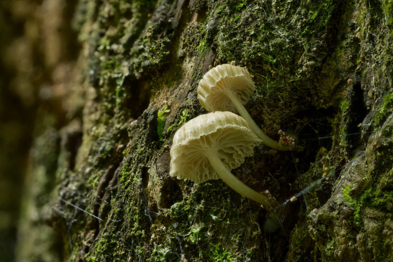 2026 01 12 20 47 27 CS6