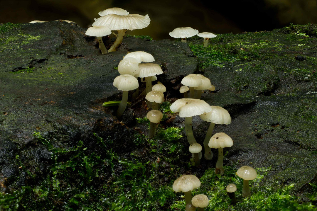 2026 01 12 20 51 54 BR8S4