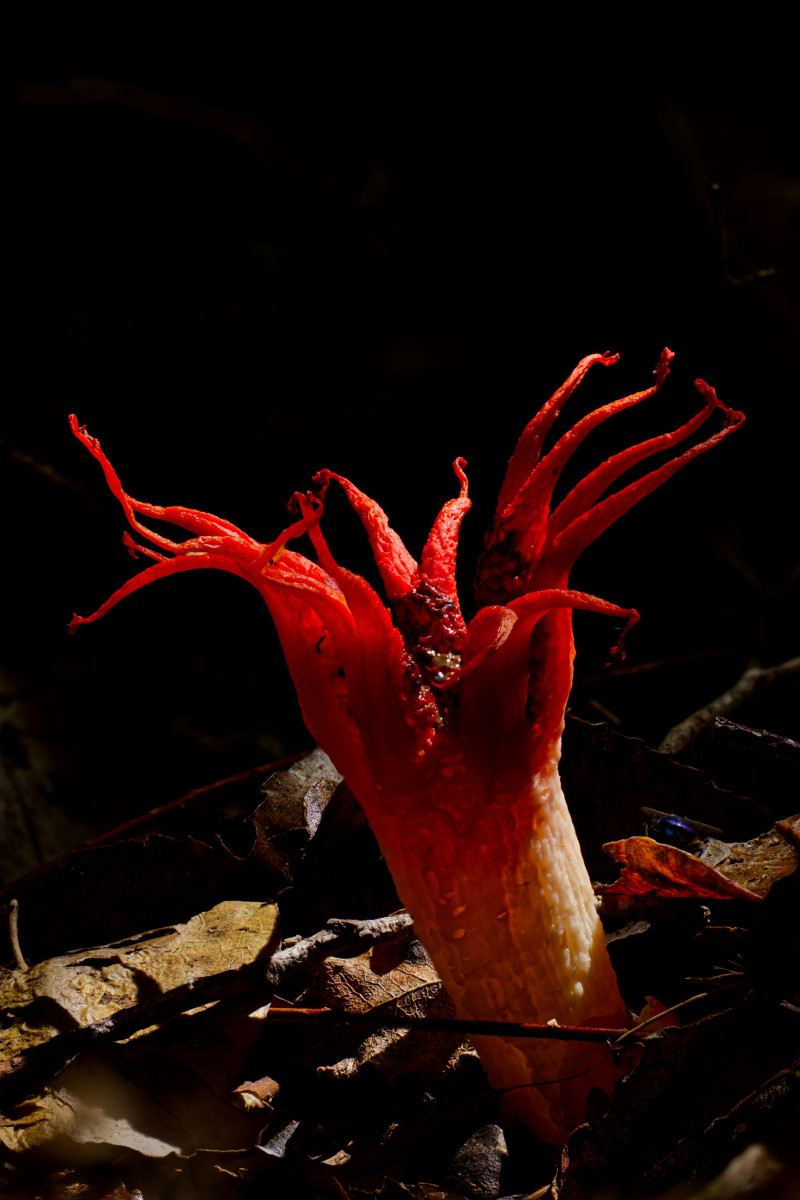 2026 01 31 18 50 26 BR8S4b