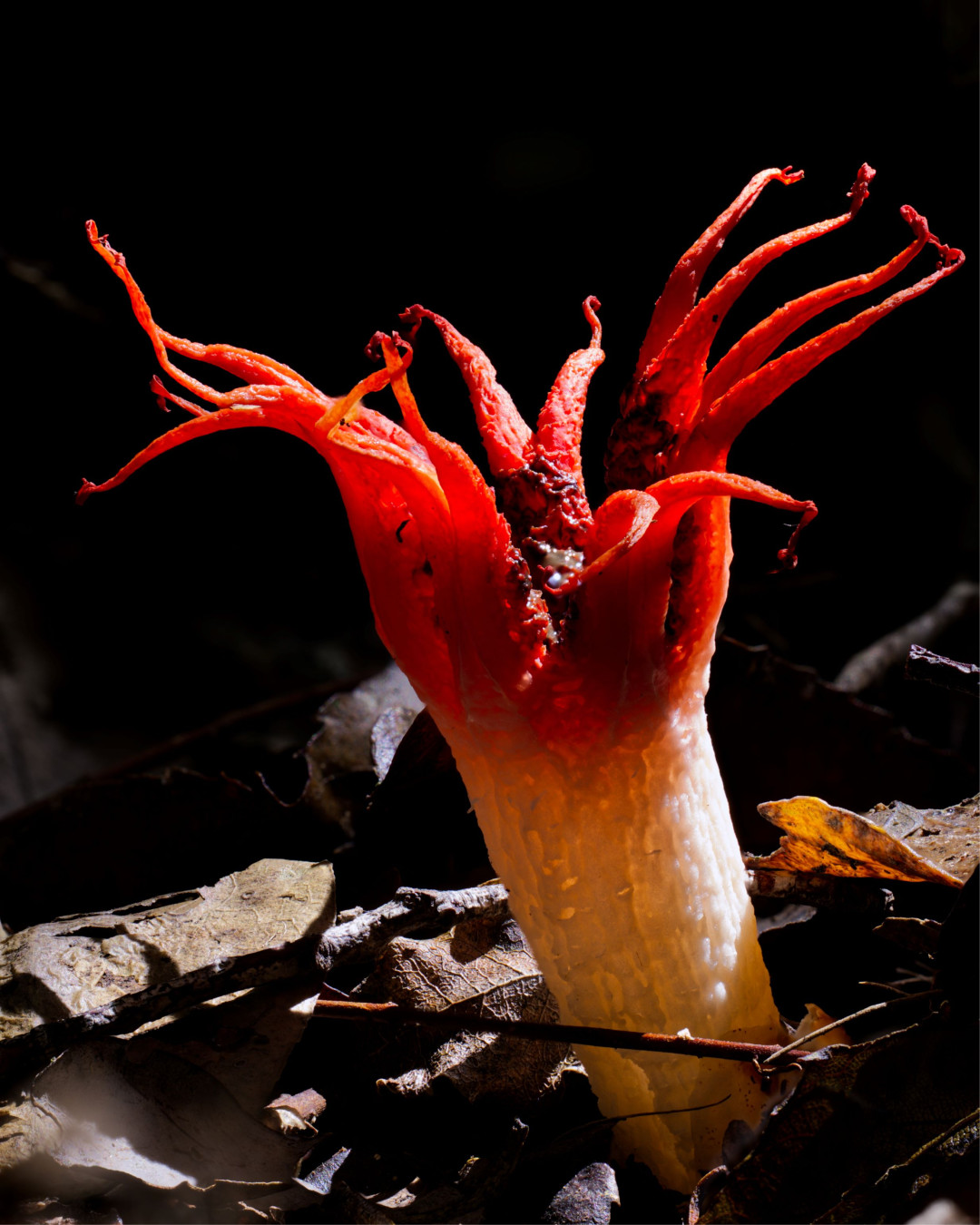 2026 01 31 18 59 31 BR8S4