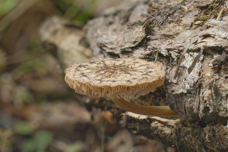 2026 02 06 18 21 19 BR8S4