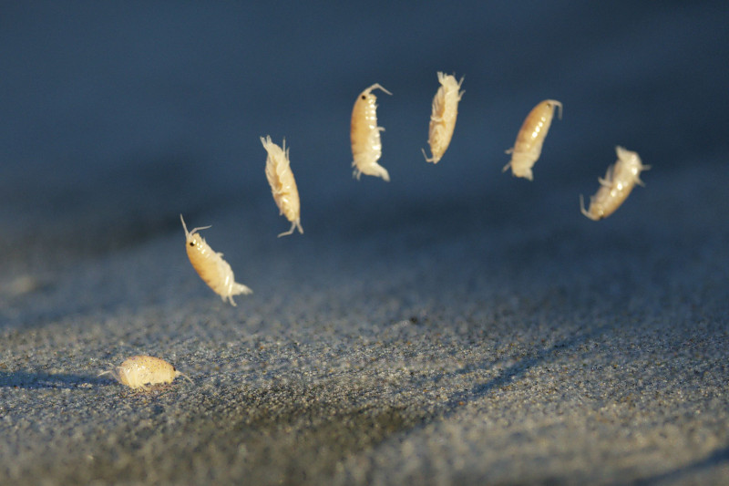 Untitled v5