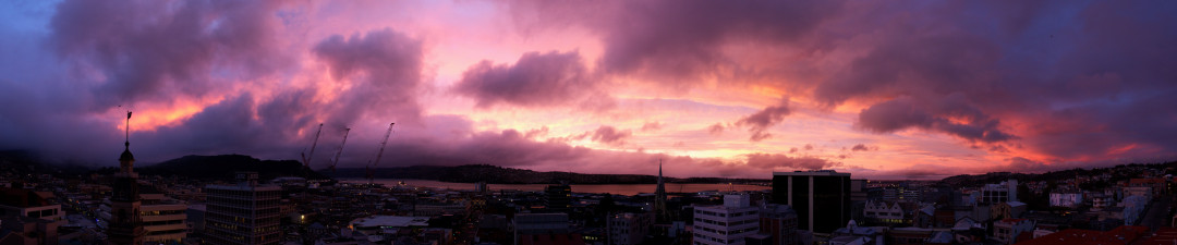 dunedin pano small