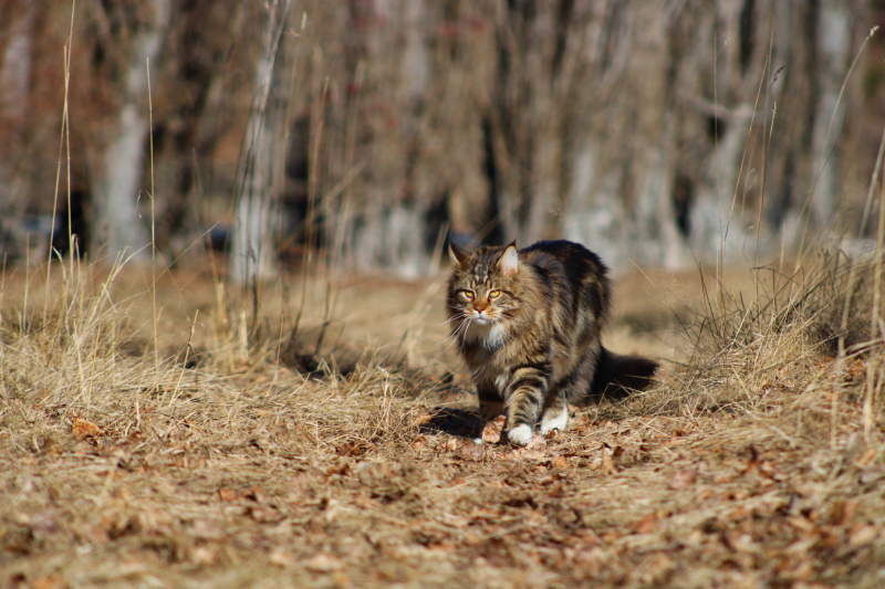 IMG EOS 1500D100 9994